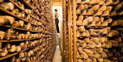 30 Yếu tố của Giá trị Thương hiệu