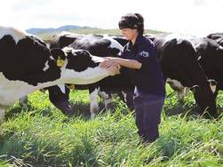 Vinamilk chờ “yếu tố mới”