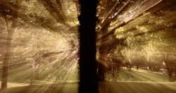 “Growth hack” và “Growth không hack”