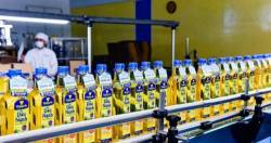 Về đích ngoạn mục trong 2020, KIDO đưa mục tiêu 2021 tăng 91,5%