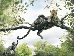 [Case Study] Nhỏ nhưng có võ!