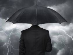 “Mimosa, từ đâu em tới?”