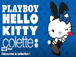 Mèo nhà hóa mèo hoang?