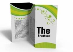 “Đại sứ” brochure