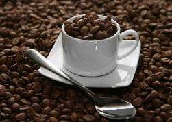 Nhắm vào Starbucks, mục đích của ông Vũ là gì?