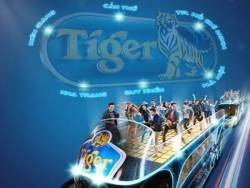 Cùng Tiger ‘thưởng bia’ theo phong cách mới