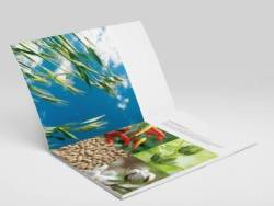 Chiến lược Liên kết trong Thương hiệu Nông nghiệp và Nông sản