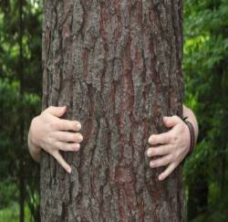 Ý tưởng marketing cho công ty kinh doanh Dụng cụ làm vườn, cây cảnh