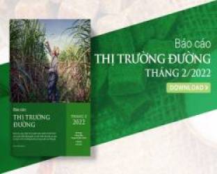 [Báo cáo] Thị trường đường tháng 2/2022: Xung đột Nga