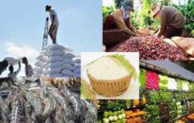 Bản tin thị trường nông, lâm, thủy sản số ra ngày 20/3/2022