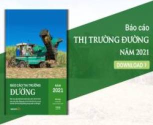 [Báo cáo] Thị trường đường năm 2021: Một năm khởi sắc của ngành mía đường
