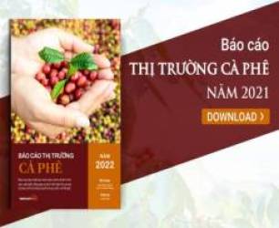[Báo cáo] Thị trường cà phê năm 2021: Một năm thăng hoa của ngành cà phê