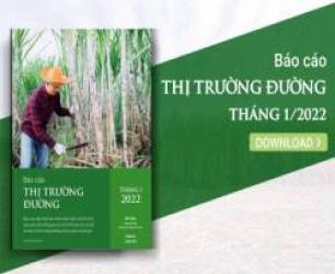 [Báo cáo] Thị trường đường tháng 1/2022: Nguồn cung tăng gây áp lực giảm lên giá đường