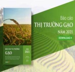 [Báo cáo] Thị trường gạo 2021: Xuất khẩu báo hiệu một năm bứt phá mạnh