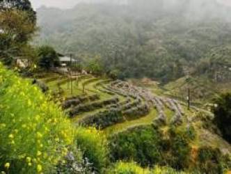 “Bỏ phố về rừng” lúc dịch, đến giờ, tôi bắt đầu hối hận vì phải di chuyển 2 tiếng đến nơi làm việc và về nhà khi trời đã tối