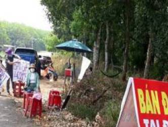 Nhiều người gom đất, phân lô bất hợp pháp