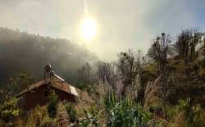 Mua đất farmstay kỳ vọng tăng gấp đôi, hơn 2 năm sau, nhà đầu tư F0 cay đắng chấp nhận chôn vốn