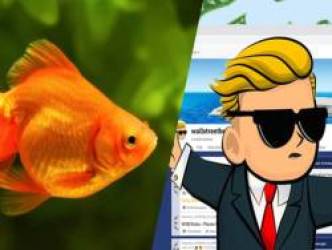 Đưa 50.000$ cho cá vàng “chơi cổ phiếu” còn thắng đậm hơn nghe thanh niên trên MXH “phím hàng”