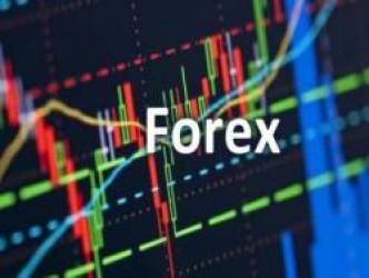 “Đầu tư trên sàn giao dịch Forex là mang tiền cho kẻ lừa đảo”