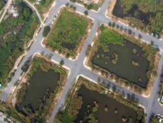 Doanh nghiệp trúng đấu giá đất ở Thủ Thiêm sẽ không được trả góp