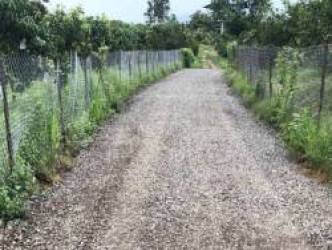 “Sốt” đất nông nghiệp, nhà đầu tư mạnh tay xuống tiền bất chấp rủi ro