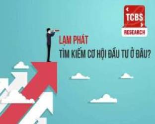 Tìm kiếm cơ hội đầu tư ở những doanh nghiệp có tỷ lệ Tiền mặt ròng/Vốn hóa cao