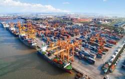 Gemadept, Viconship cùng loạt DN cảng biển sẽ hưởng lợi thế nào nếu tăng 10% giá bốc dỡ container?