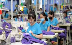 Hanosimex và Vinatex đồng loạt muốn thoái toàn bộ vốn tại Nguyên liệu Dệt may Việt Nam