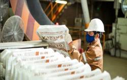 Vicem Hà Tiên có Phó Tổng giám đốc mới