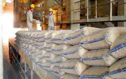 Bàn giải pháp “gỡ khó” cho ngành xi măng