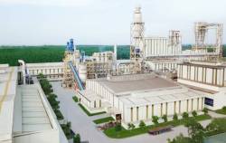 Chân dung ông lớn ngành gỗ Việt duy nhất xuất khẩu được ván sàn cao cấp sang Mỹ, nhà máy hiện đại top 10 thế giới