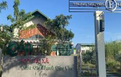 Có nhiều “bà đỡ” vẫn lắm gian nan