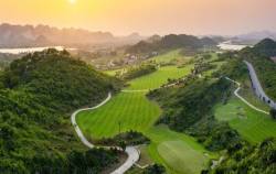 Lỗ liên tiếp 10 năm, giá cổ phiếu ngang ‘cốc trà đá’