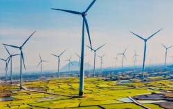 Trung Nam Group hợp tác với doanh nghiệp Trung Quốc làm cụm dự án điện gió 916 MW