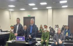 Chuyển nhượng đất gây thất thoát 165 tỷ đồng, dàn cựu lãnh đạo Tổng Công ty VEAM lĩnh án