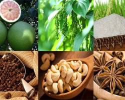 Bản tin thị trường nông, lâm, thủy sản số ra ngày 30/11/2023