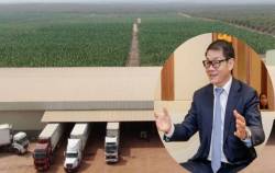 HAGL Agrico sẽ sáp nhập hai công ty con tại Lào thành một pháp nhân với vốn điều lệ gần 10.000 tỷ đồng