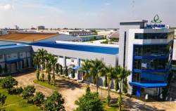 Bài toán trở thành trung tâm xuất khẩu thuốc tỉ USD của Việt Nam