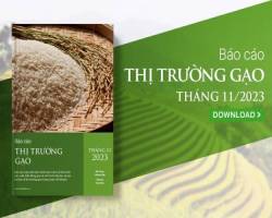 Nguồn cung không còn nhiều, giá gạo xuất khẩu duy trì ở mức cao