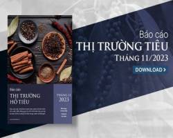 Giá tiêu tăng nóng vào cuối năm