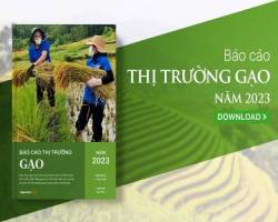 Xuất khẩu gạo cao kỷ lục, dự kiến tiếp tục thuận lợi trong năm 2024