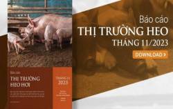 Duy trì ảm đam dù xuất hiện tín hiệu tích cực