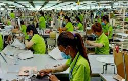 Một công ty ở Trà Vinh thưởng tết Giáp Thìn cao nhất 280.000.000 đồng