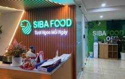 Vừa lên HoSE, Siba Group của ông Trương Sỹ Bá trình kế hoạch phát hành huy động 115 tỷ từ cổ đông để trả nợ đến hạn