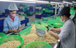 Căng thẳng Biển Đỏ leo thang, Hiệp hội ngành hàng khuyến cáo gì?