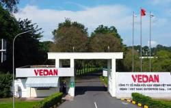 Trái chiều bức tranh doanh thu