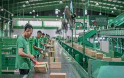 Vì sao Giao hàng tiết kiệm ngưng nhận đơn đúng dịp cao điểm Tết Nguyên đán?