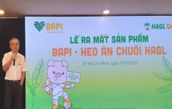 Từng có tham vọng là DN đầu tiên làm mô hình ‘từ trang trại đến bàn ăn mà có đủ sản phẩm’, HAGL chuẩn bị thoái vốn khỏi chuỗi bán thịt heo ăn chuối