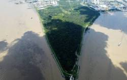 1 nữ Phó TGĐ của chủ đầu tư siêu dự án 6 tỷ USD thành lập và quản lý hàng trăm công ty “ma”, giúp bà Trương Mỹ Lan rút ruột gần 300.000 tỷ tại SCB