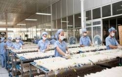 Sa Giang thay đổi nhận diện thương hiệu sau 60 năm